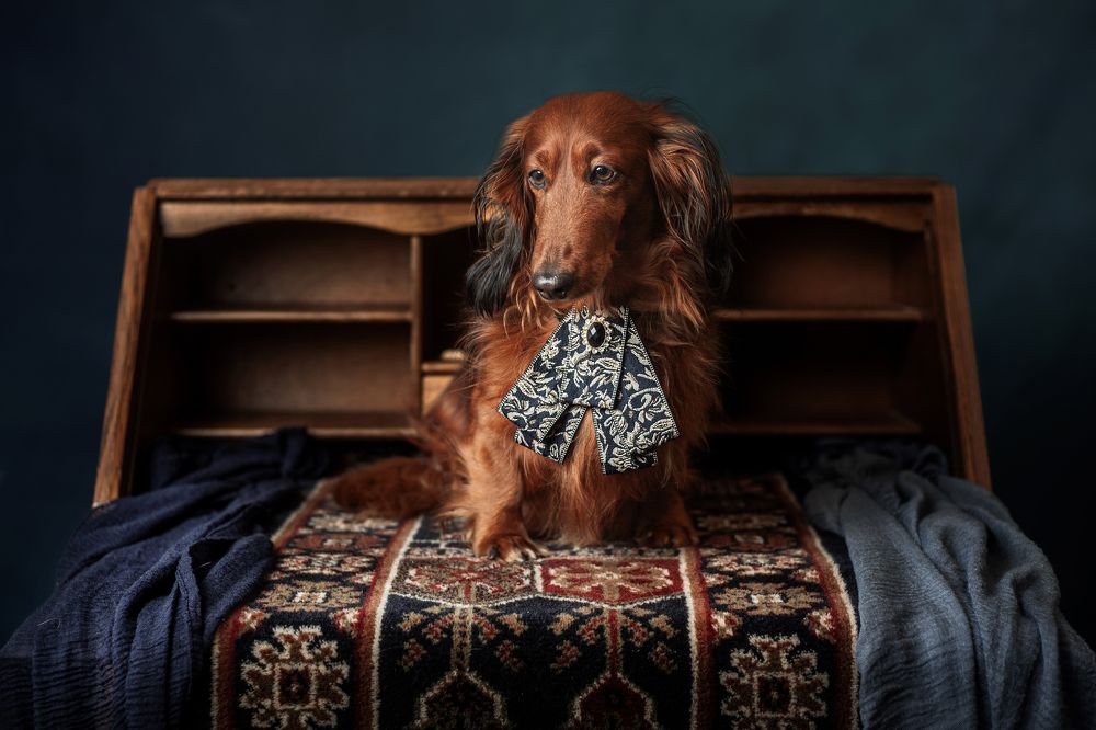 Photograph by Goené Gertrude