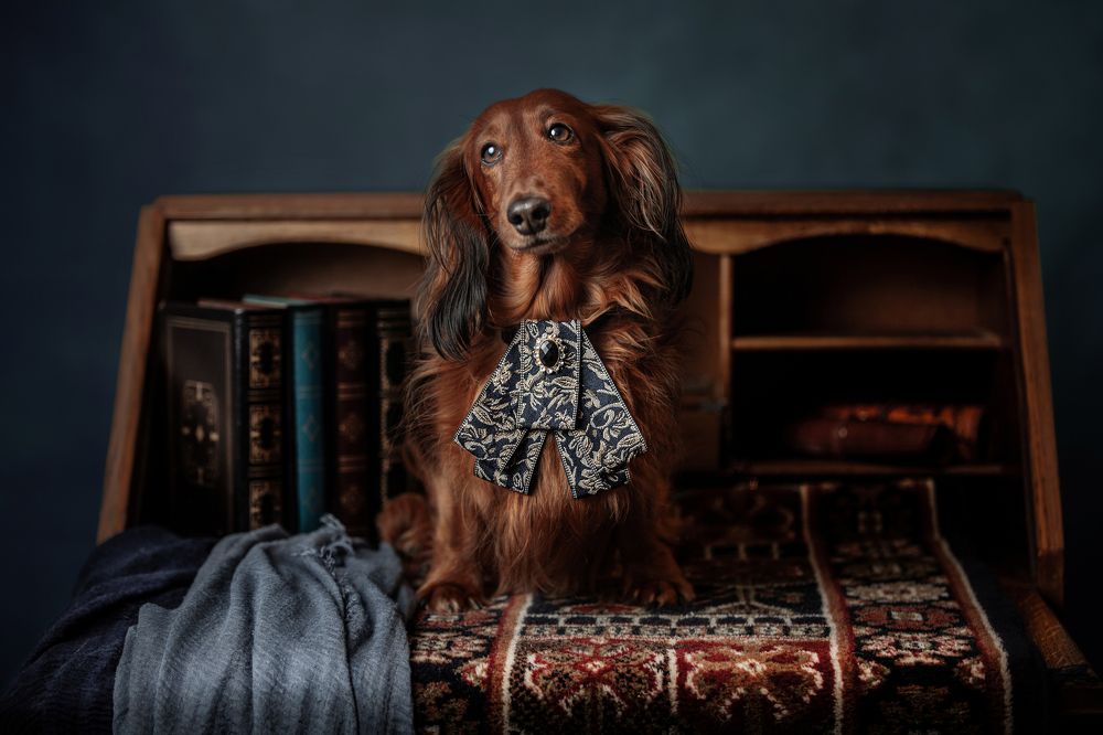 Photograph by Goené Gertrude