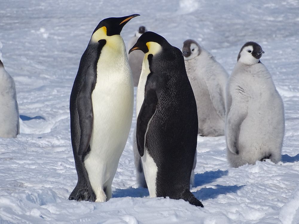 Photograph by ELVIRA LUNEVA