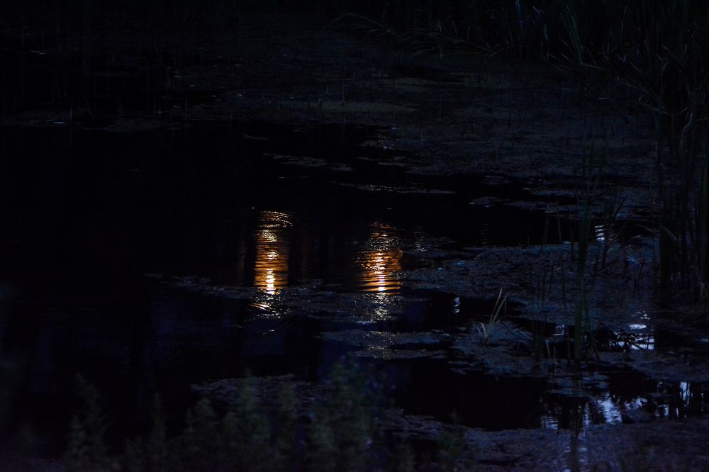 Photograph by Анастасия Гурова