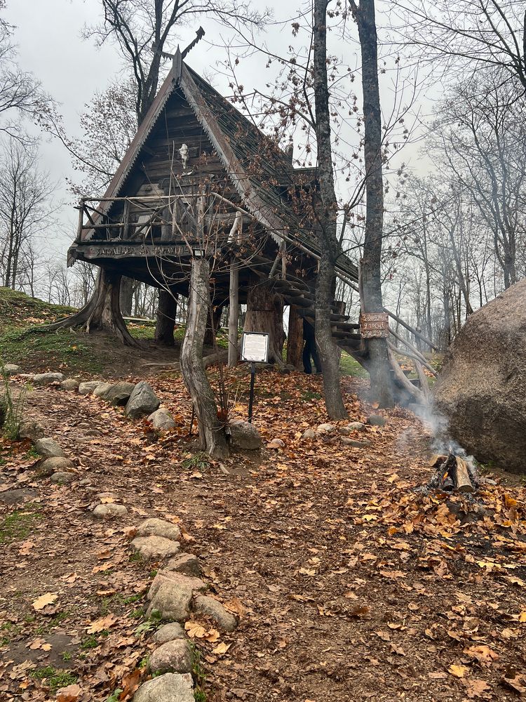 Фотография автора Светлана Малаховская