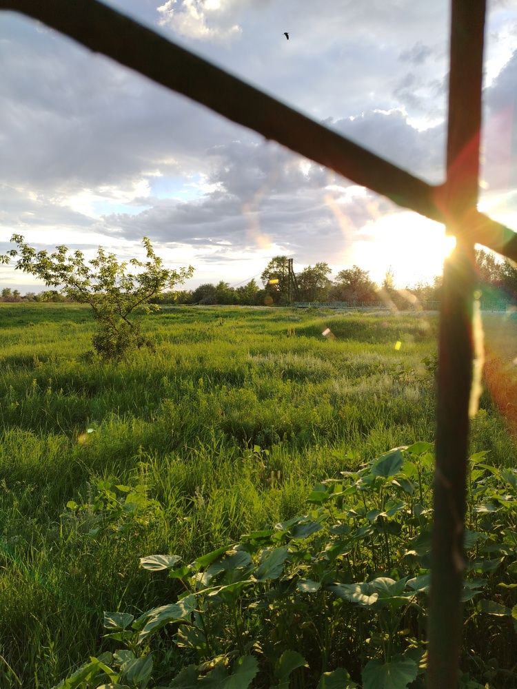 Photo #11333090