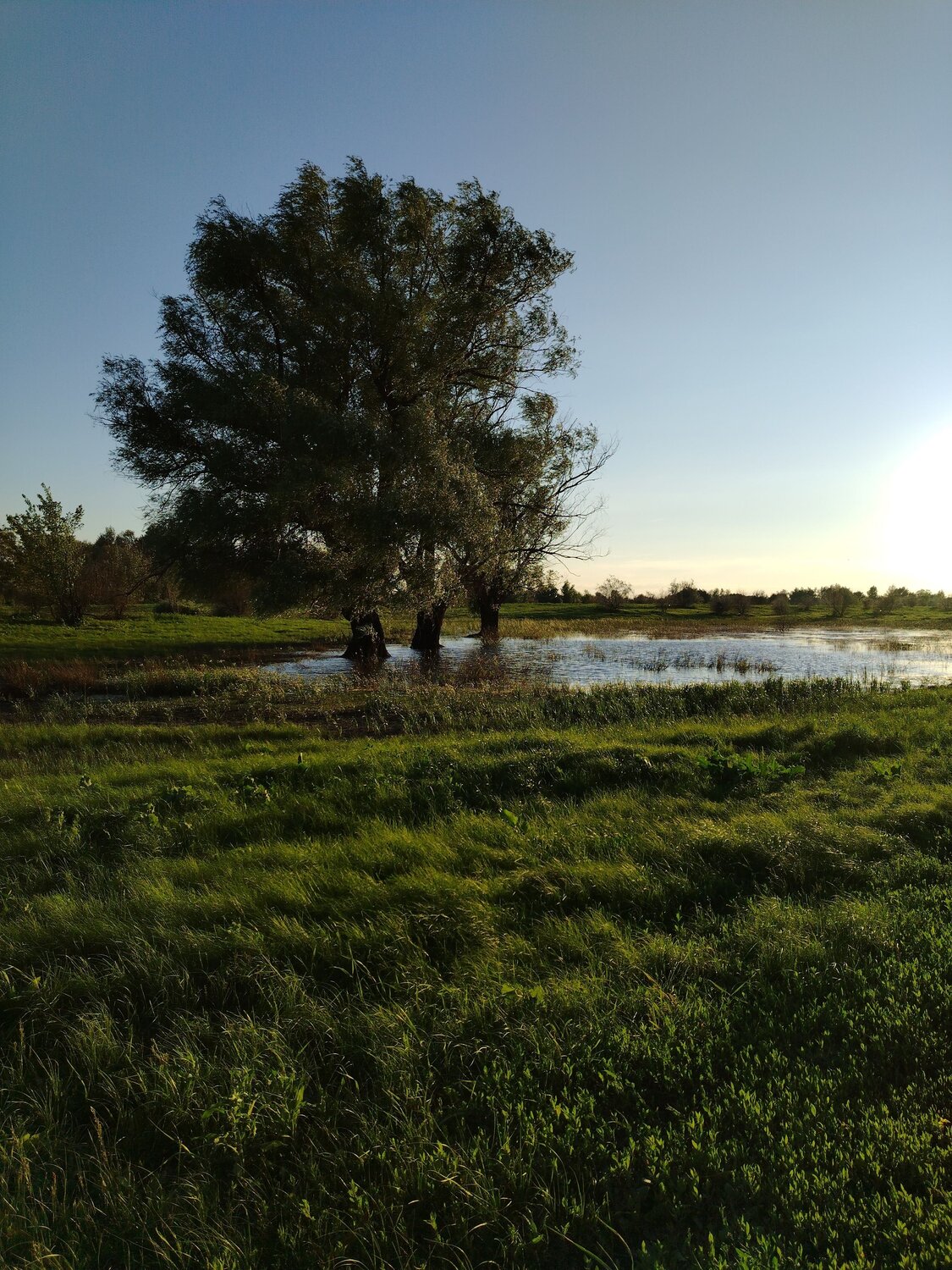 Photo #11333092