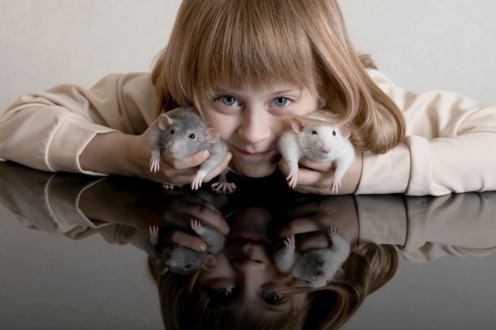 Photograph by Инна Баевская