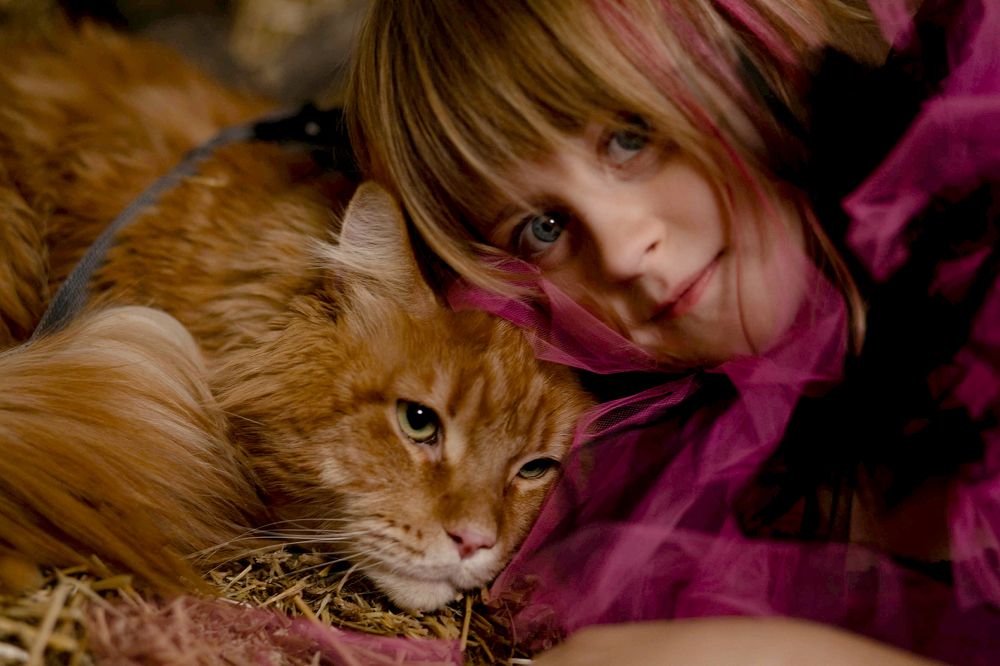 Photograph by Инна Баевская