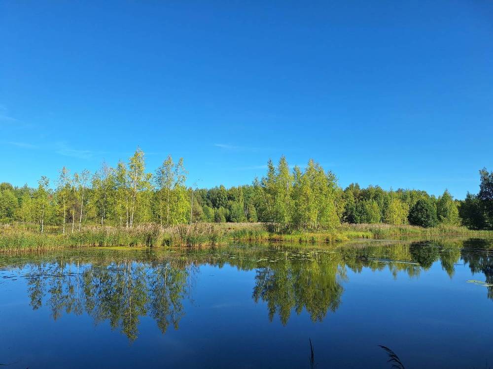 Photograph by Ольга