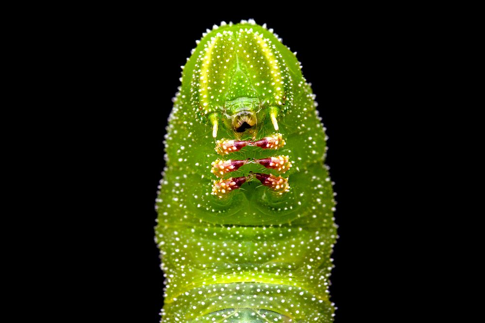 Photograph by ghaniya Almajrafi