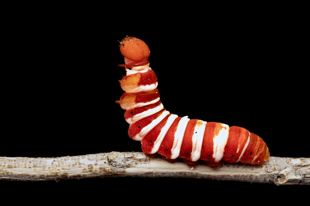 Photograph by ghaniya Almajrafi