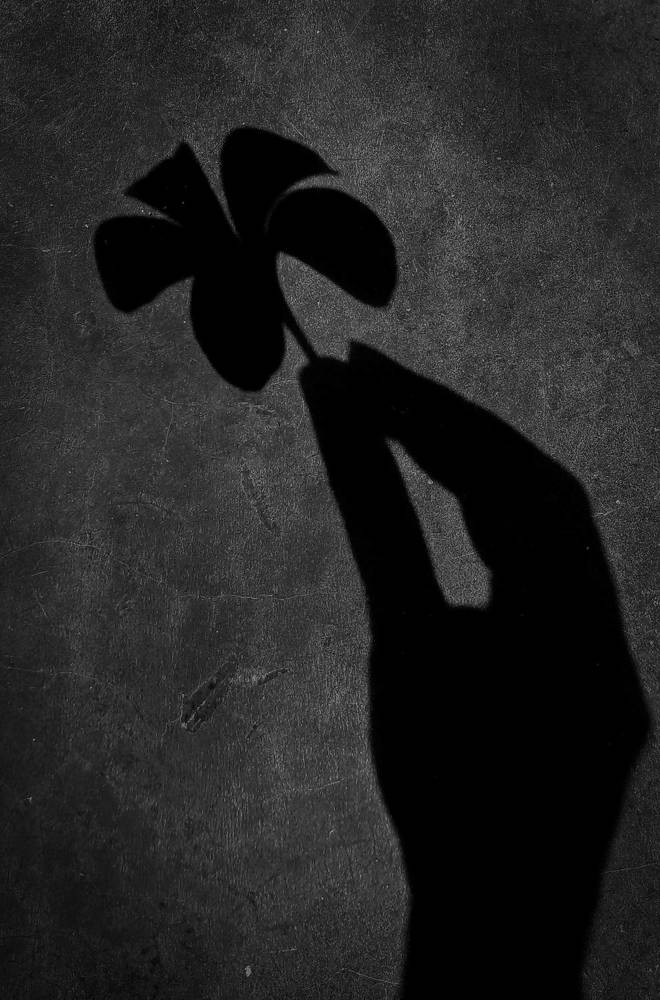 Фотография автора Laddu Sasindu Pramuditha De Silva