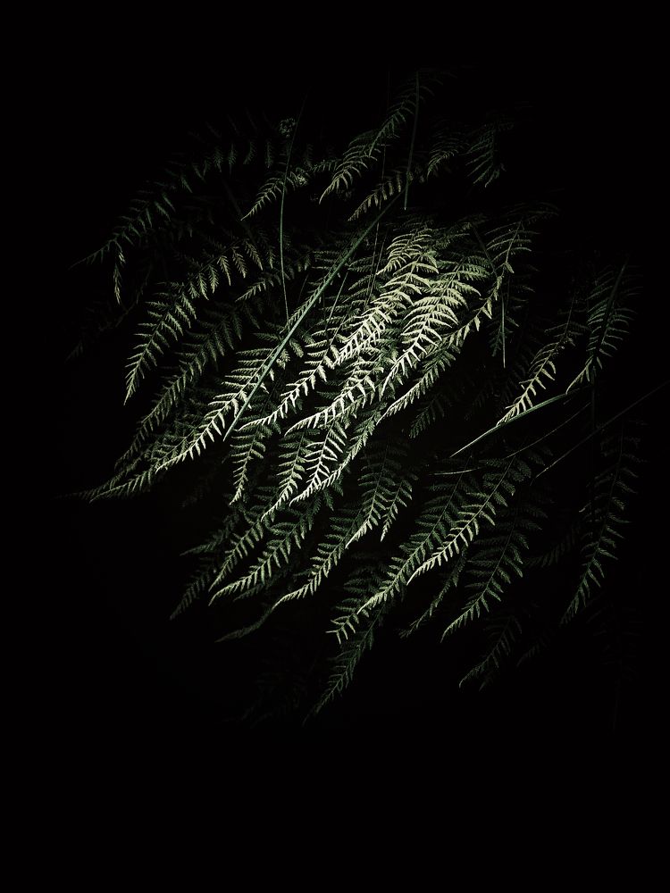 Photograph by Людмила Евстратова