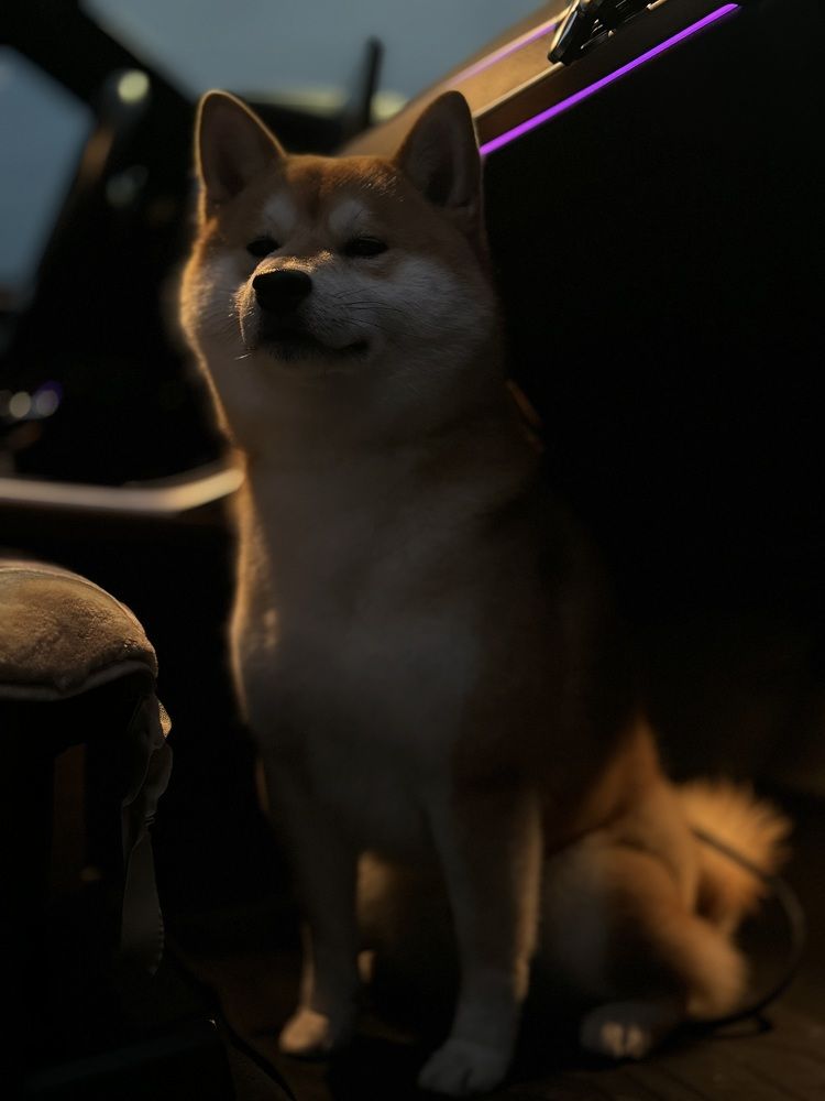 Photograph by Лилия Нуриева