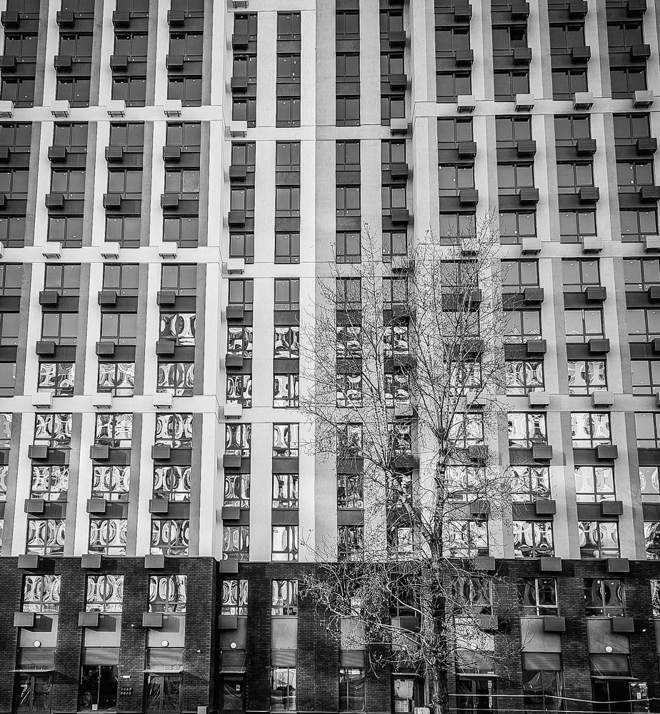 Фотография автора Светлана Алексеева