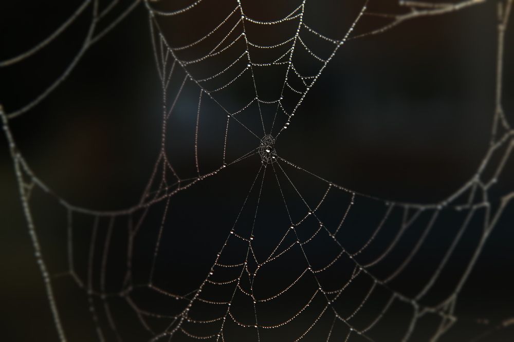 Фотография автора Сергей Кульков