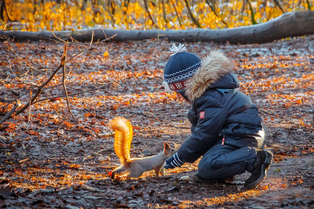 Общий язык найден