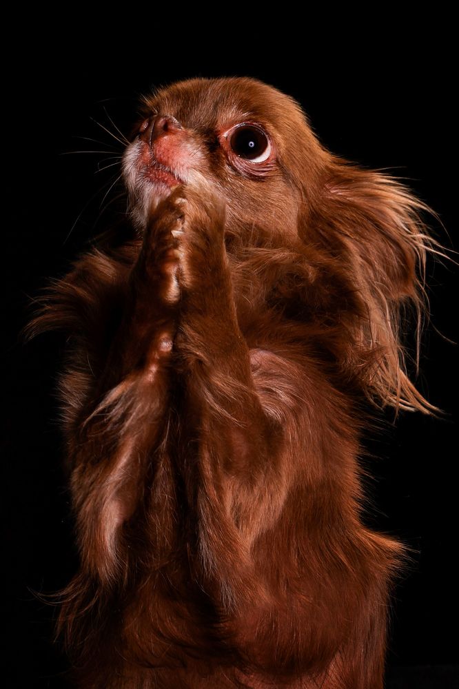 Photograph by Елена Лапочкина