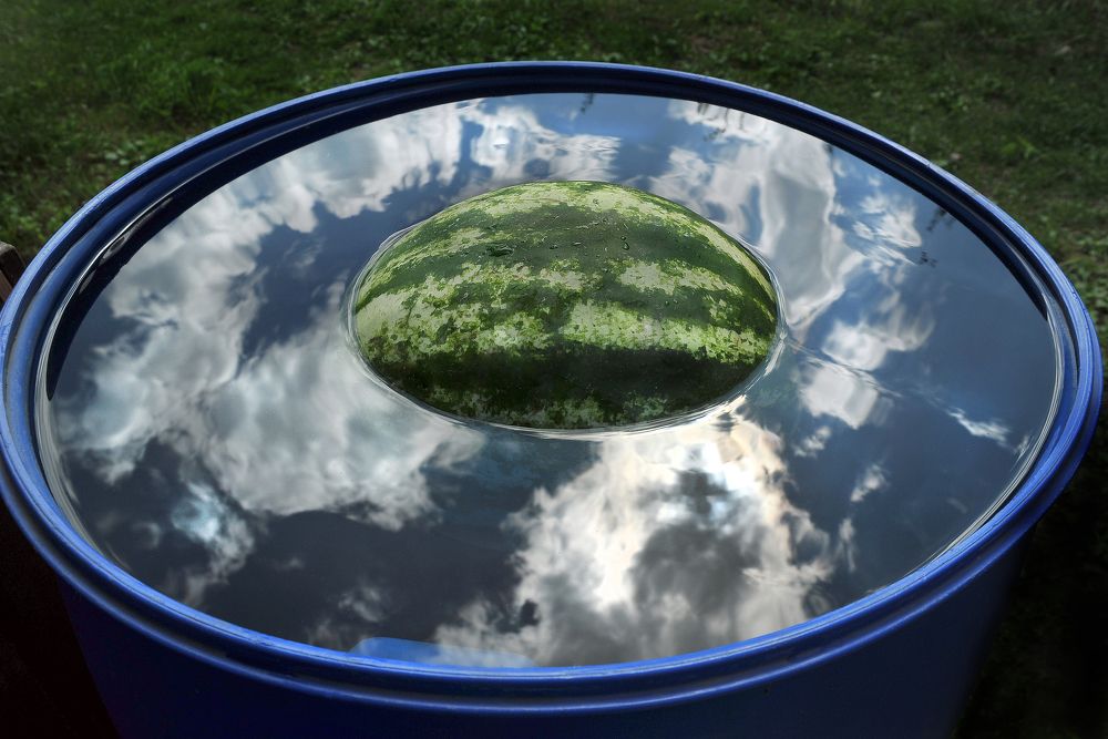 Photograph by Cергей Абакумов