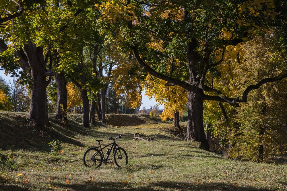 Photograph by Татьяна Байкова