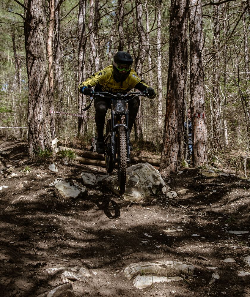 Фотография автора Мария Гомолко