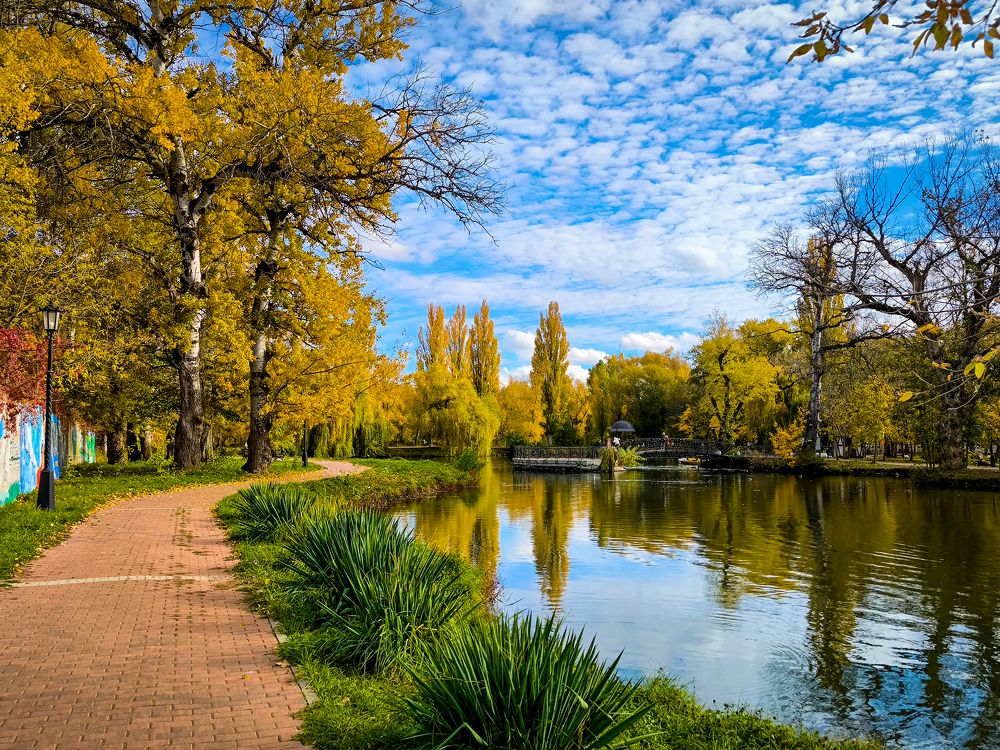 Photograph by Анастасия Толмачева