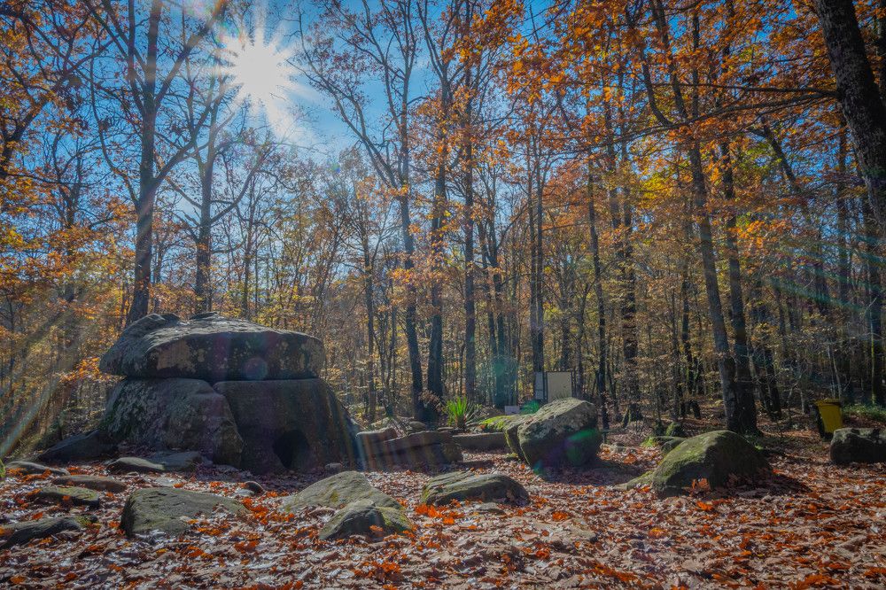 Photograph by Александр Куимов