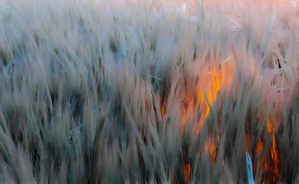 Photograph by Grădinaru Catalin