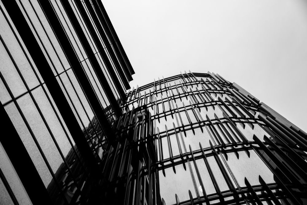 Фотография автора Мария Гомолко