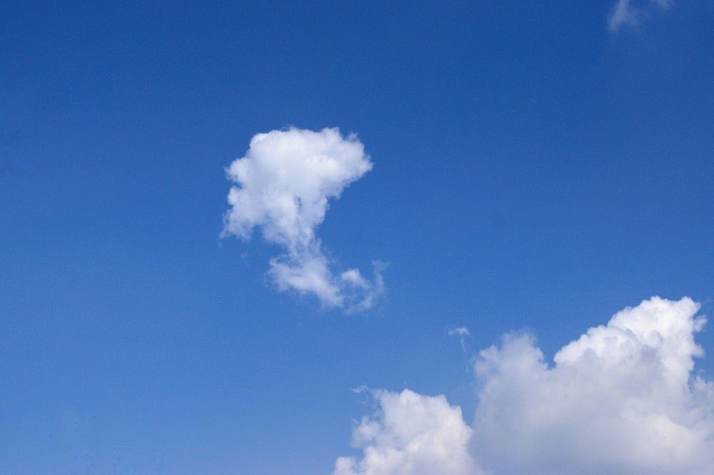 Фотография автора Sheuli Akther