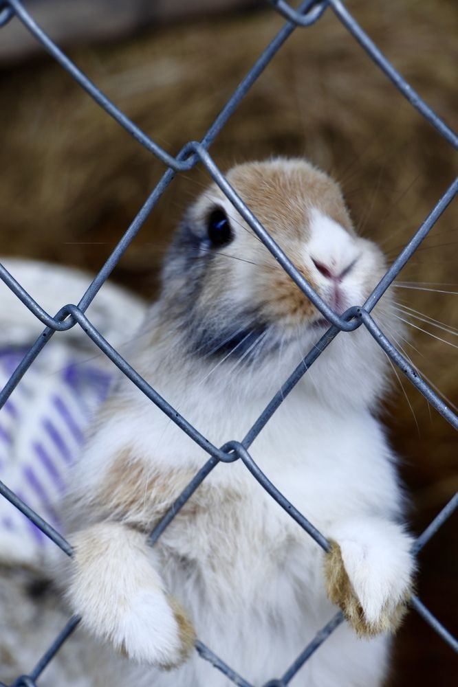 Фотография автора Seyedeh hanieh seiffard