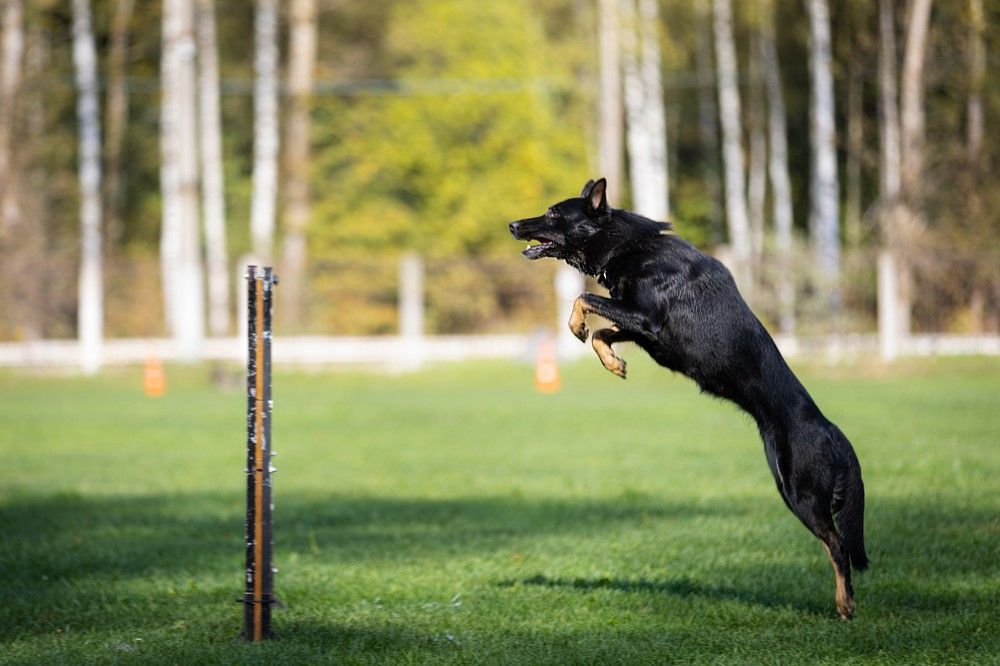 Photograph by Виолетта Бастет