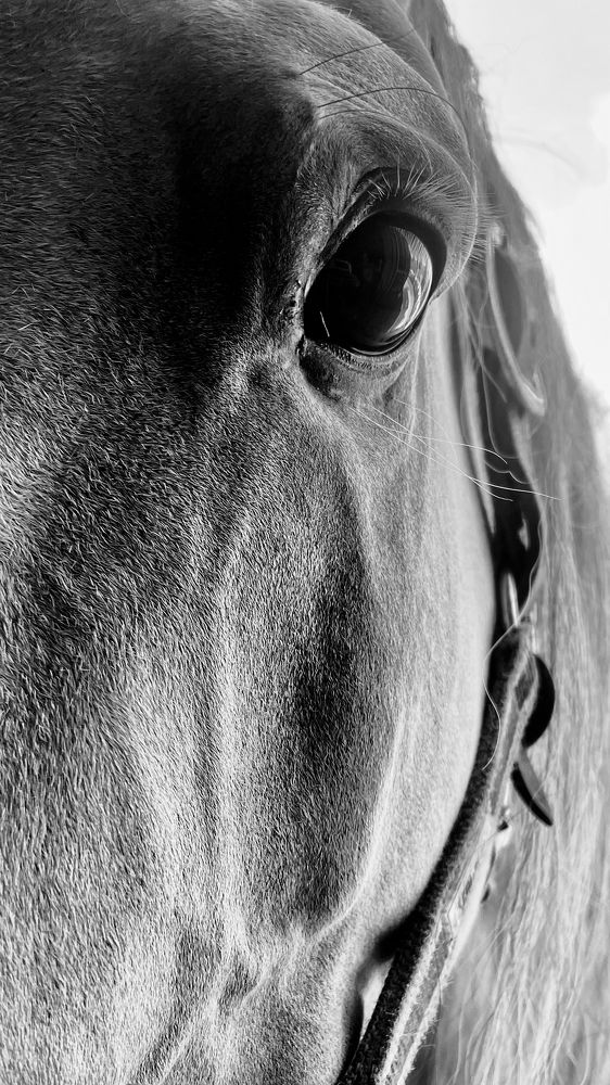 Photograph by Юлия Дудкова