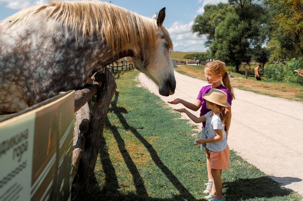 Photograph by Елена Лоцманова