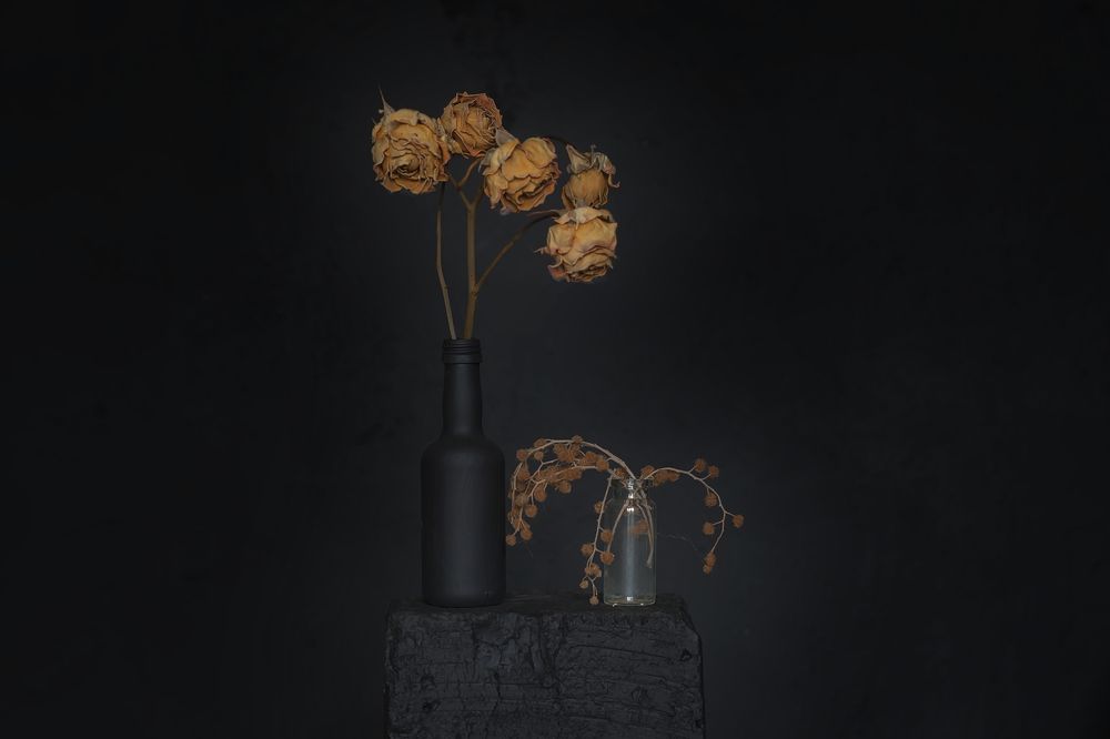 Photograph by Дмитрий Сундеев