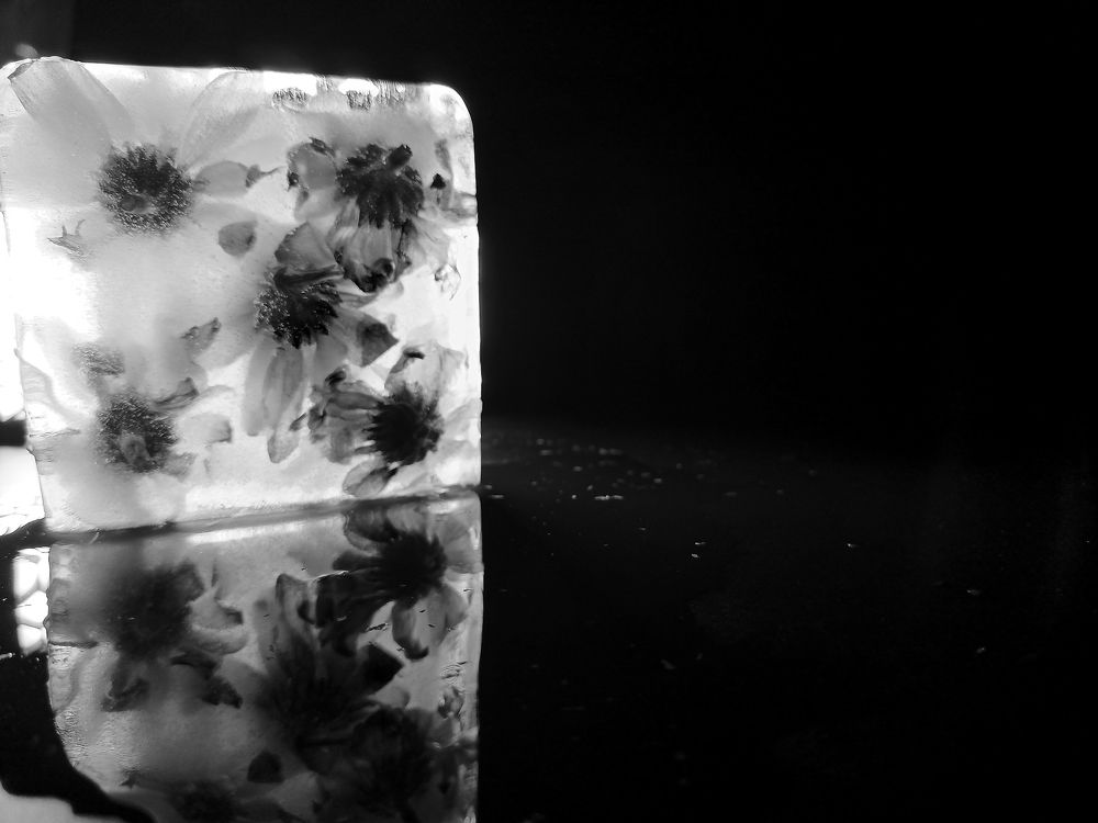 Photograph by Лариса Натальская