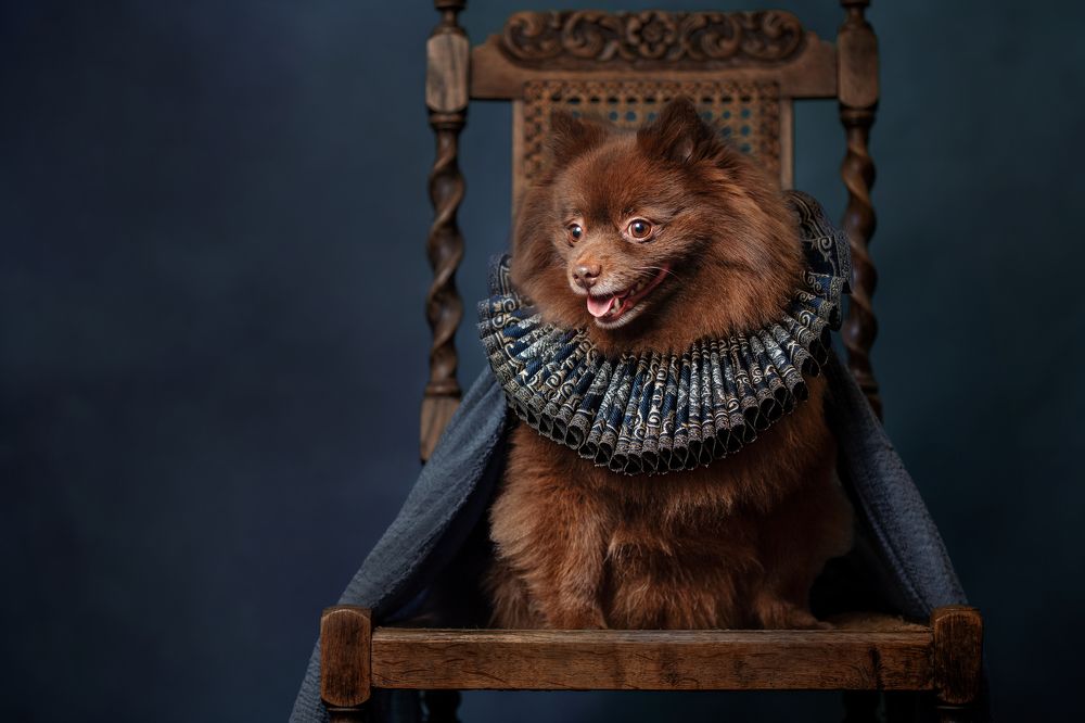 Photograph by Goené Gertrude