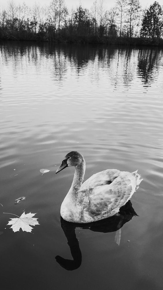 Photograph by Кристина Луканова