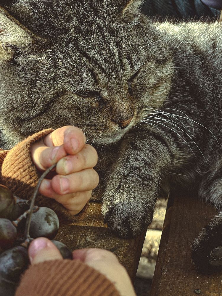 Photograph by Анна Пигулевская