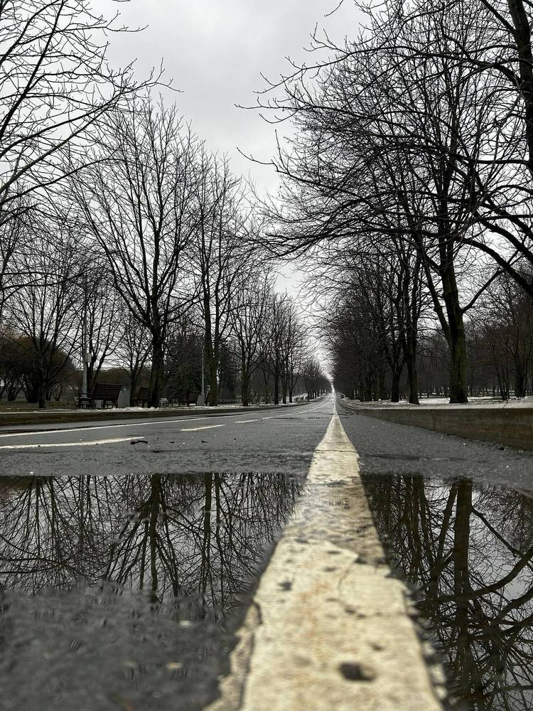 Photograph by Alex Rionir