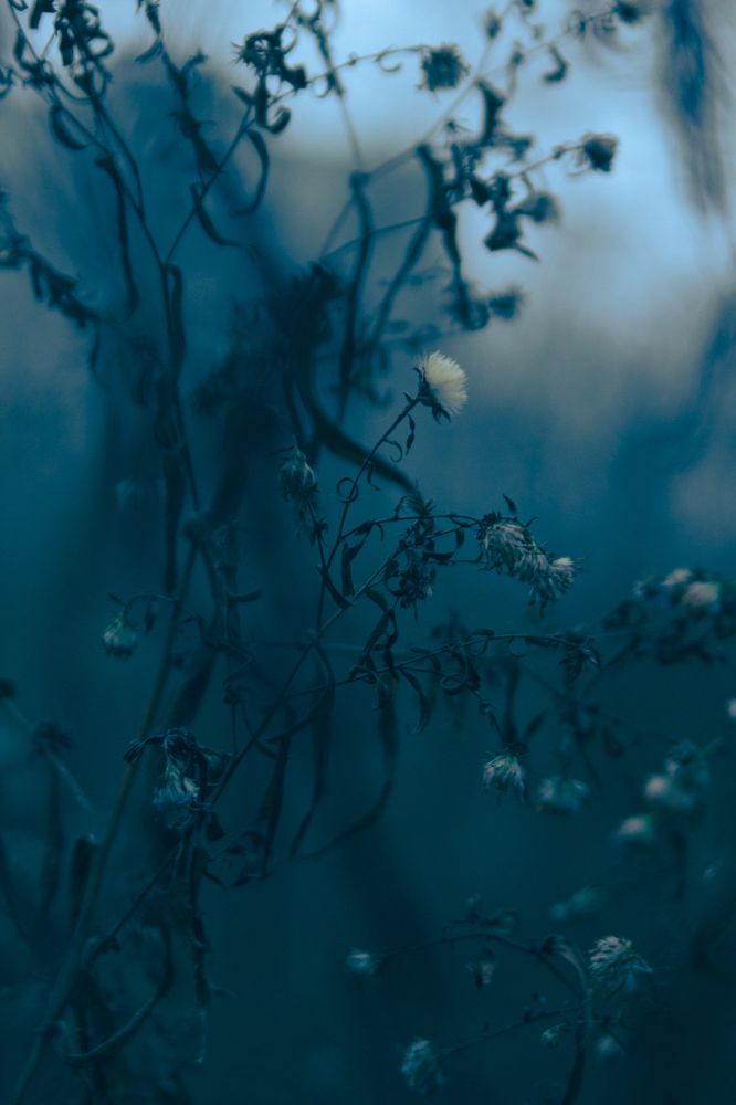 Photograph by Ольга Степанова
