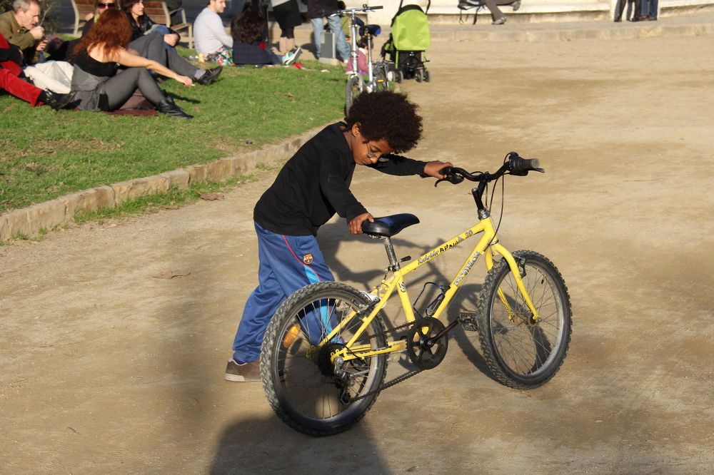 Необъезженный конь