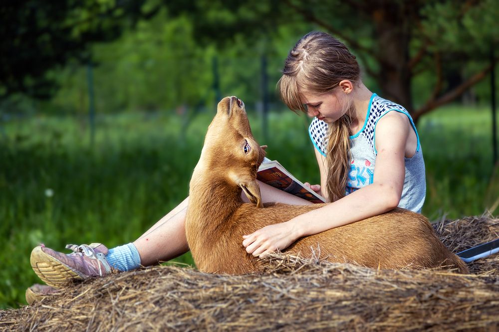 Photograph by Алексей Окунеев