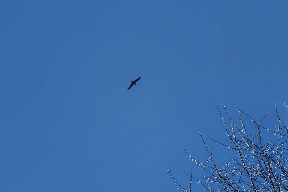 Photograph by Зубкова Юлия