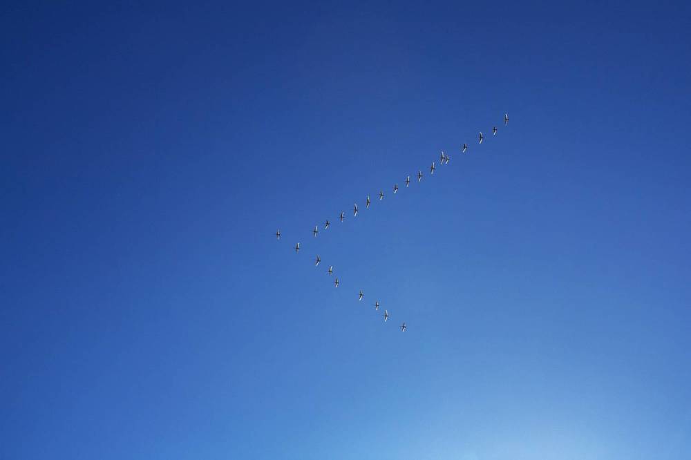 Photograph by Зубкова Юлия