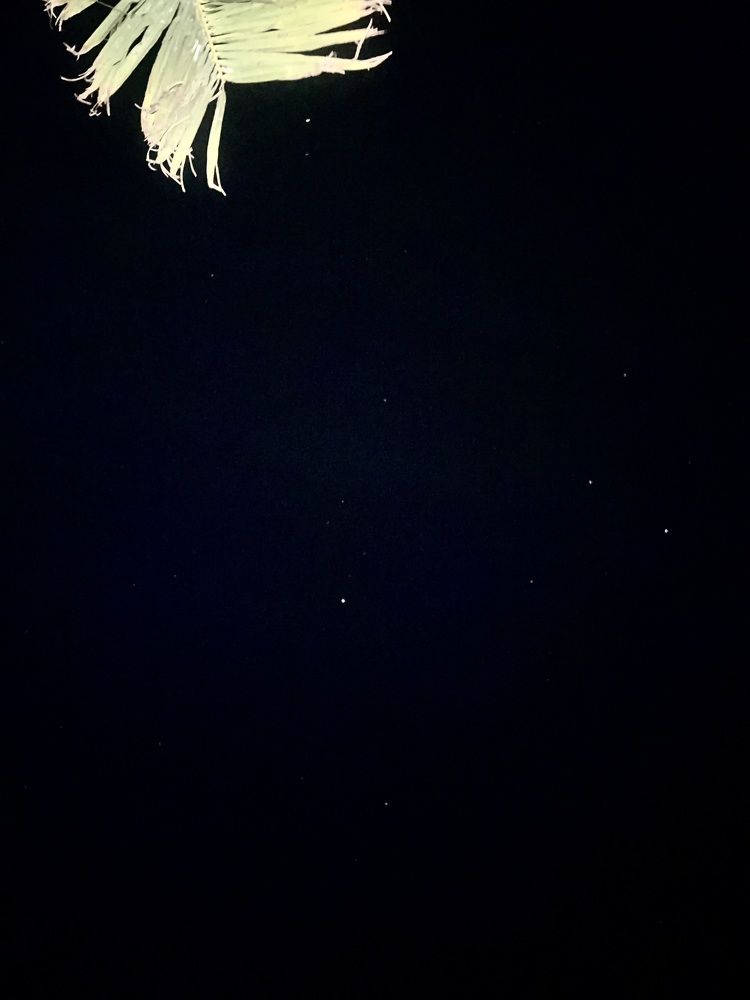 Photograph by Оксана