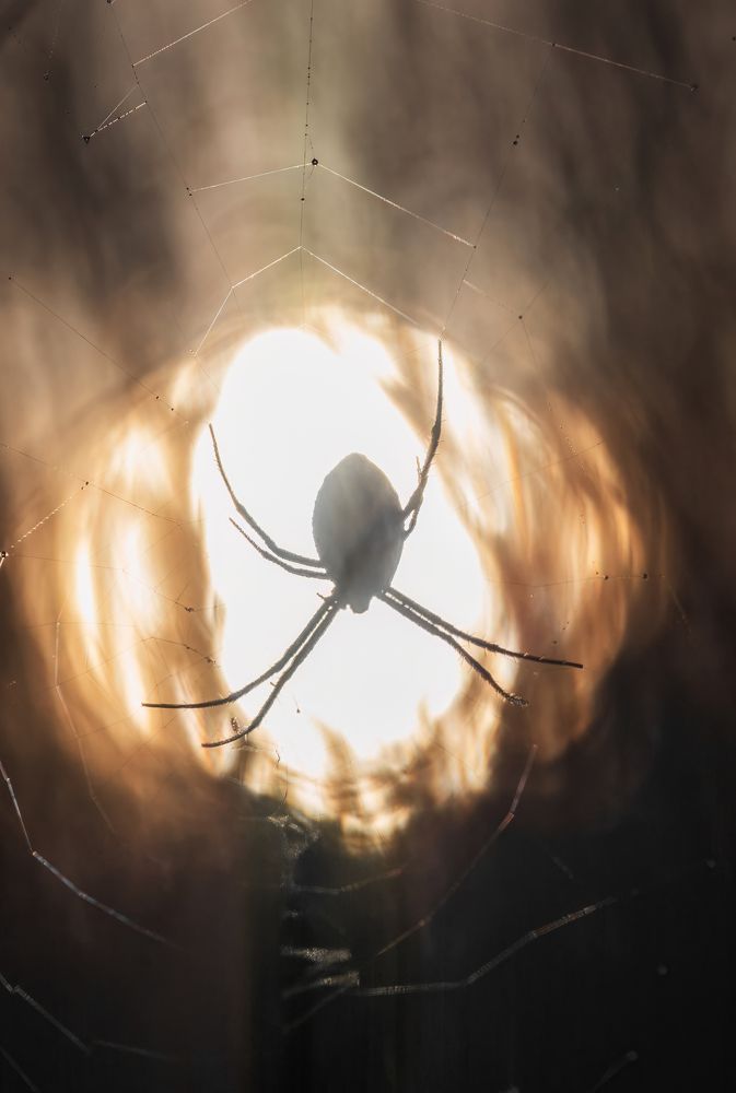 Photograph by Дудников Александр