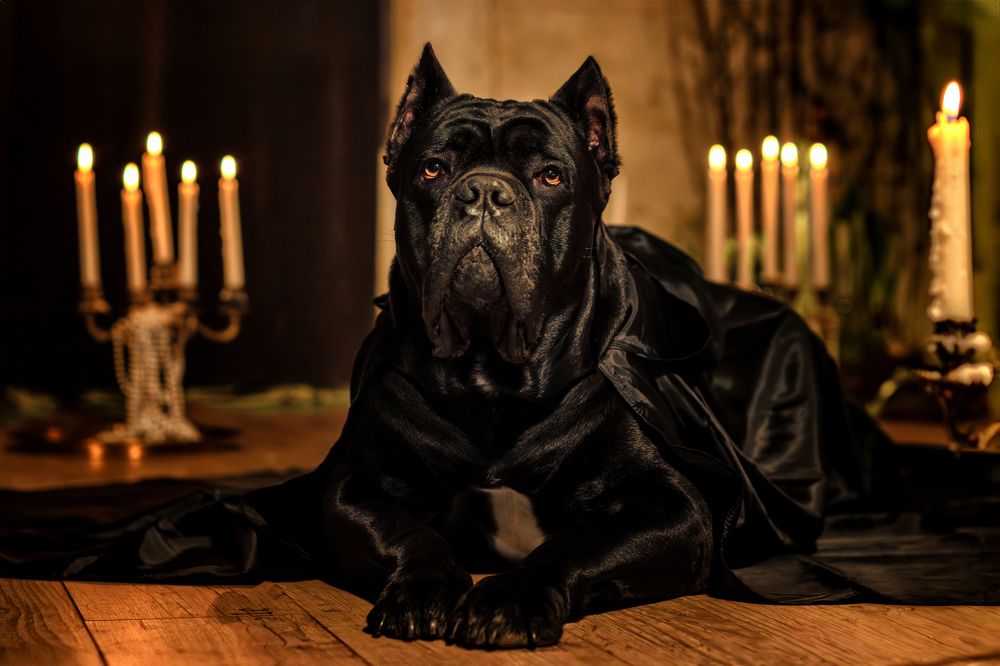 Photograph by Зубкова Юлия