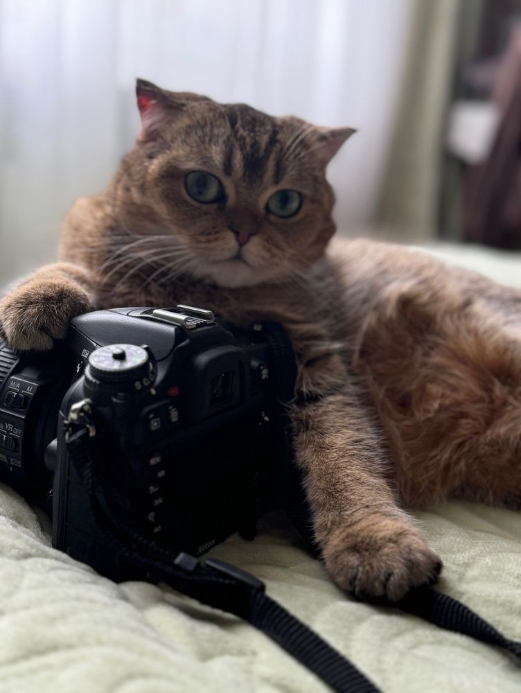 Фотография автора Виктория Зеленкова