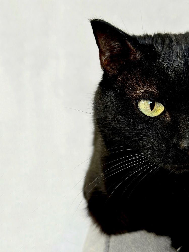 Photograph by Анастасия Конина