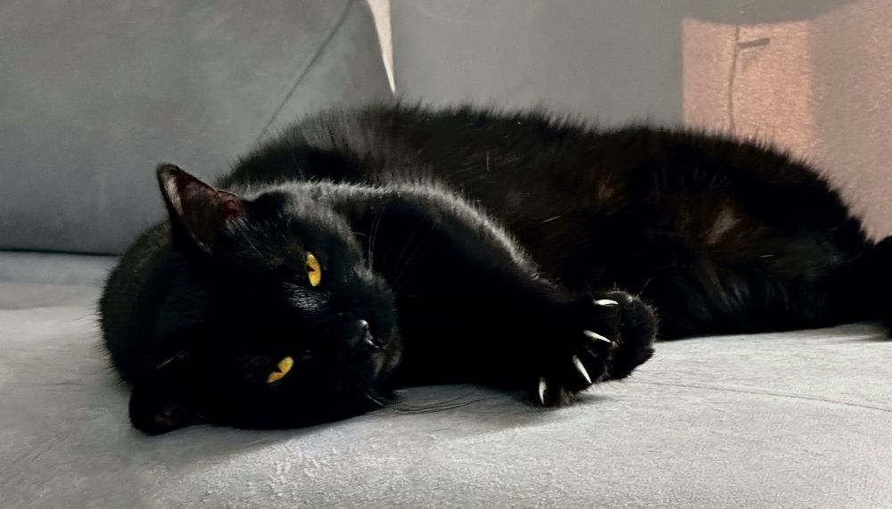 Photograph by Анастасия Конина