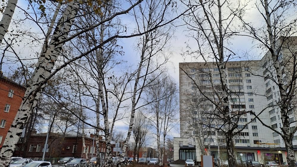 Photograph by Николай Худяков