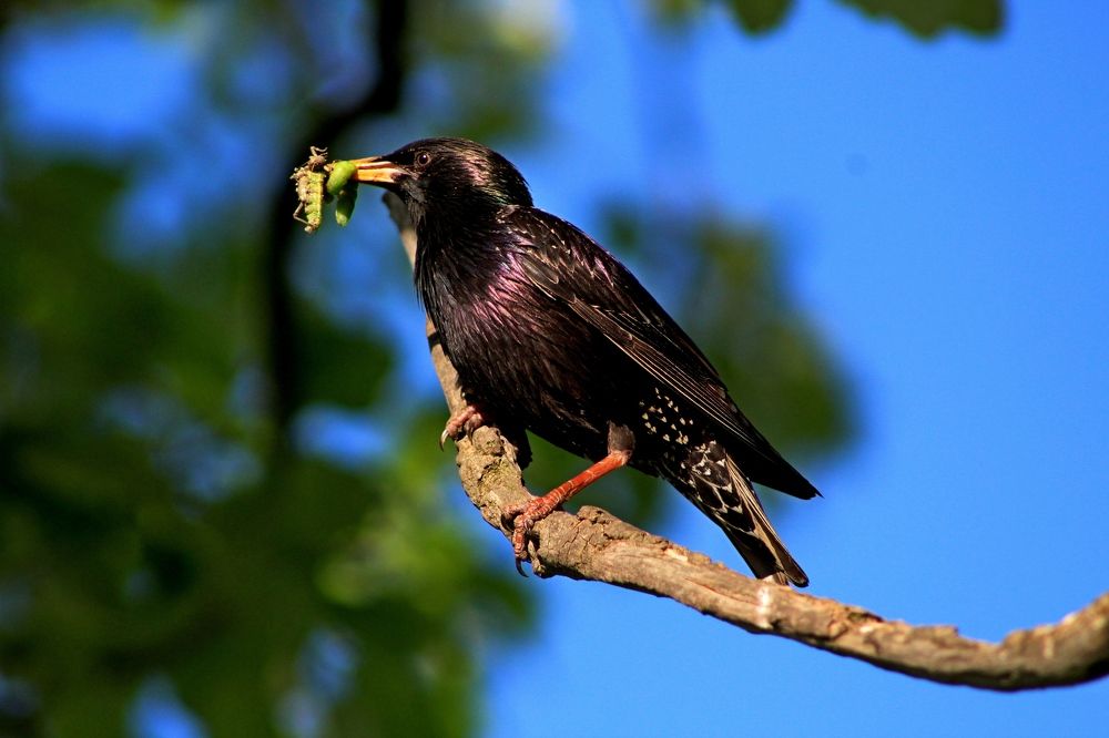 Photograph by Galina Tsmyg